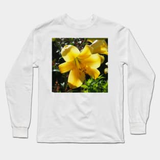 Sunlight filtering through Yellow Day Lilly Flower Long Sleeve T-Shirt